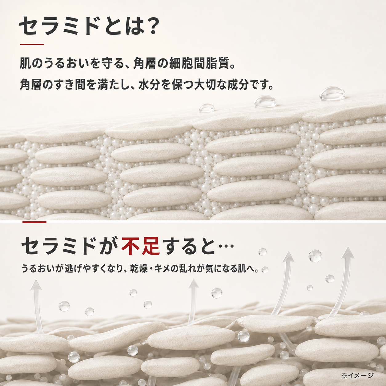 セラミドはどれくらいで効果が出る？｜男性の角層が整うまでの期間を科学的に解説