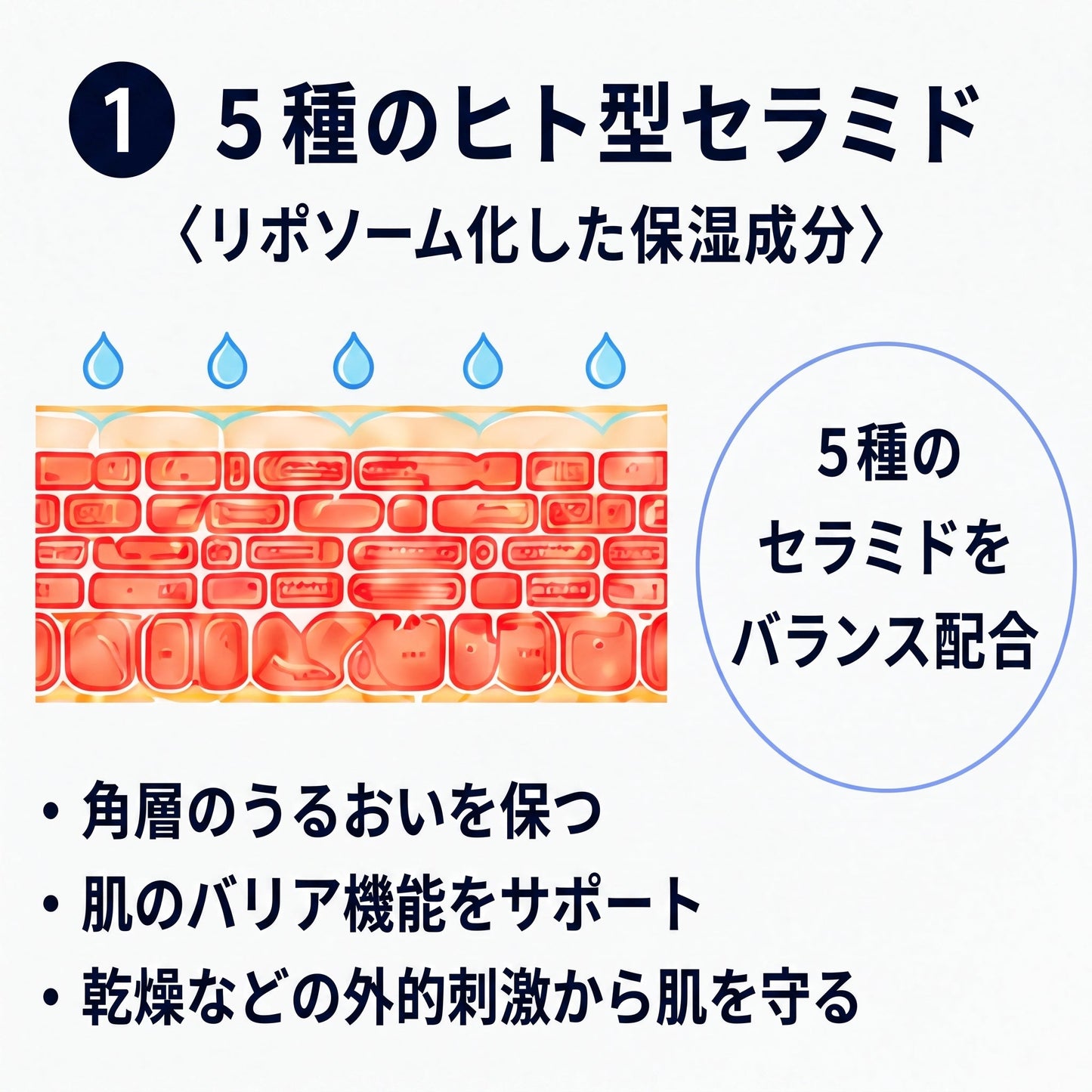 男性はなぜセラミド不足になるのか｜髭剃り・摩擦・皮脂で角層が削られる理由