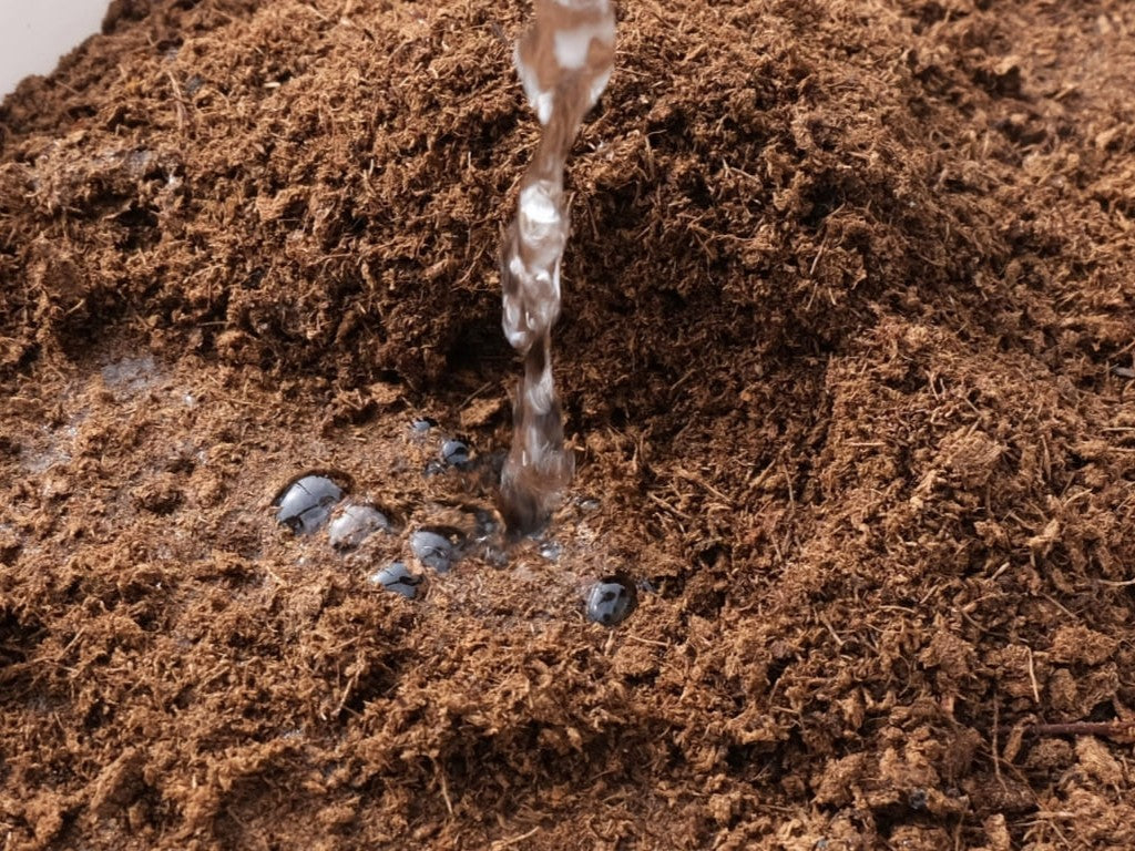 泥を食べる文化がある？世界の土食文化と天然素材「ピート」の力